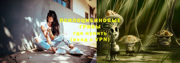 ПСИЛОЦИБИНОВЫЕ ГРИБЫ Козловка