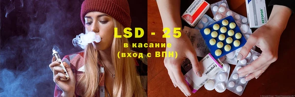 ПСИЛОЦИБИНОВЫЕ ГРИБЫ Козловка