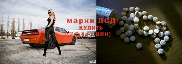 ПСИЛОЦИБИНОВЫЕ ГРИБЫ Сосновка