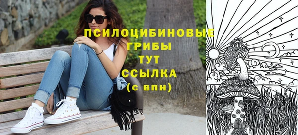ПСИЛОЦИБИНОВЫЕ ГРИБЫ Козловка