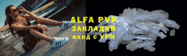 ПСИЛОЦИБИНОВЫЕ ГРИБЫ Козловка