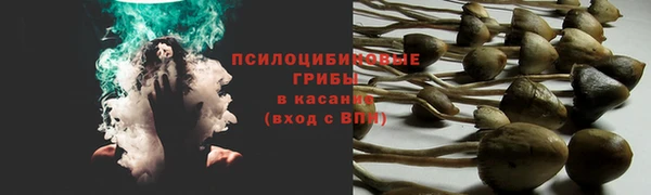 ПСИЛОЦИБИНОВЫЕ ГРИБЫ Козловка
