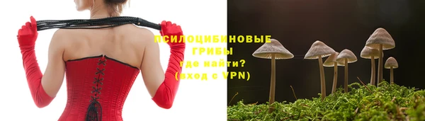 ПСИЛОЦИБИНОВЫЕ ГРИБЫ Козловка