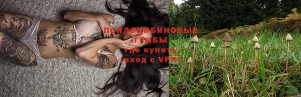 кокс Козельск