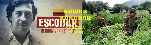 ПСИЛОЦИБИНОВЫЕ ГРИБЫ Козловка